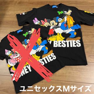 ディズニー(Disney)のディズニー　パークTシャツ(Tシャツ/カットソー(半袖/袖なし))