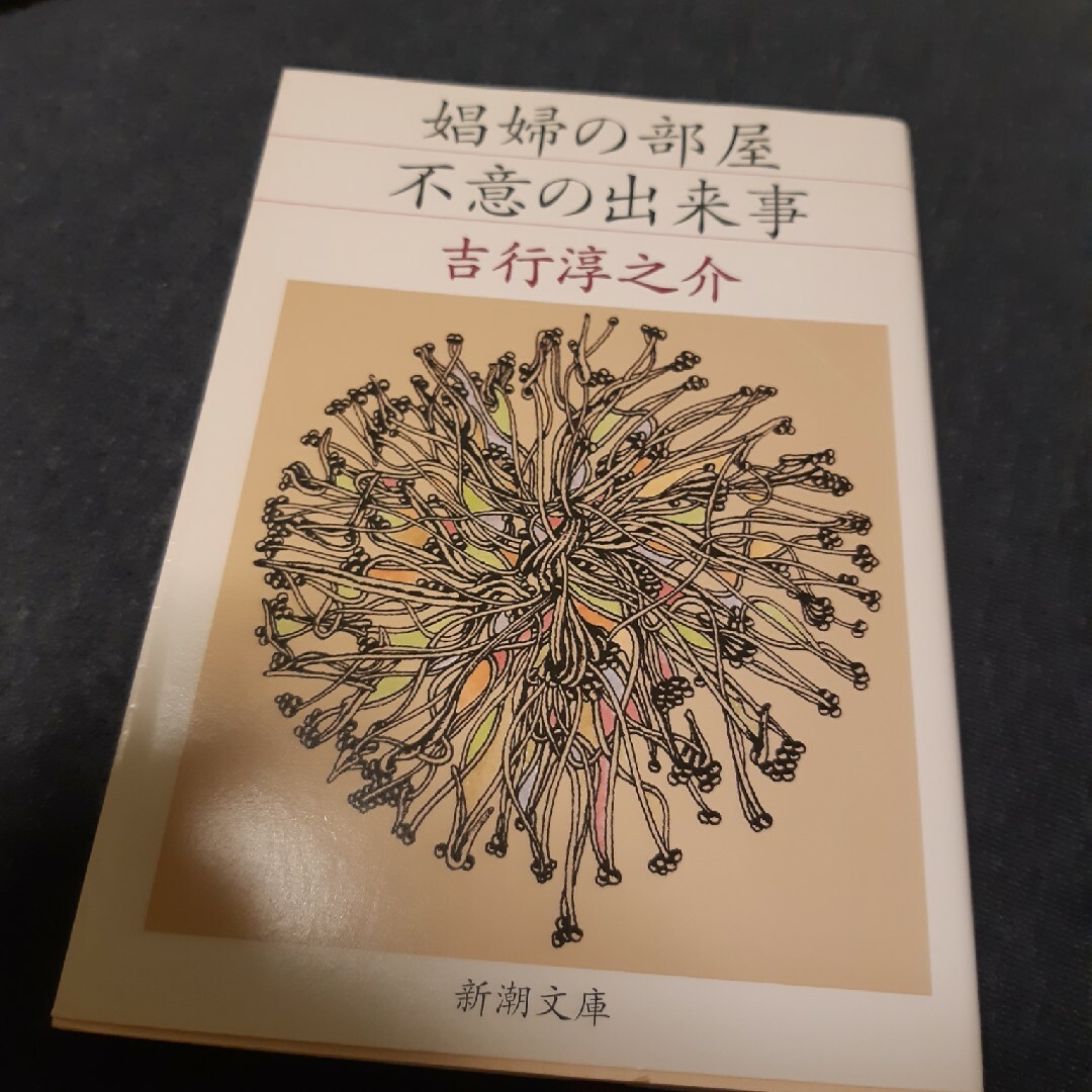 娼婦の部屋／不意の出来事 エンタメ/ホビーの本(文学/小説)の商品写真