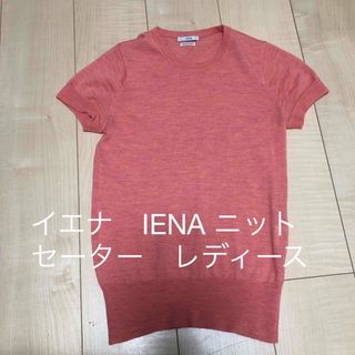 イエナ(IENA)のイエナ　IENA ニット　セーター　定番　クルーネック　半袖　ピンク　レディース(ニット/セーター)