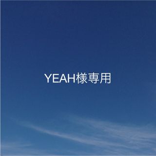 YEAH様　専用ページ(各種パーツ)