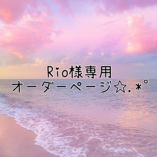 Rio様専用オーダーページ✩.*˚(キーホルダー)