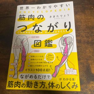 世界一わかりやすい筋肉のつながり図鑑(趣味/スポーツ/実用)