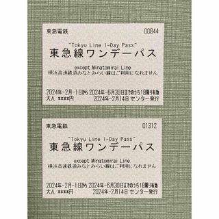 東急線　ワンデー　パス(鉄道乗車券)