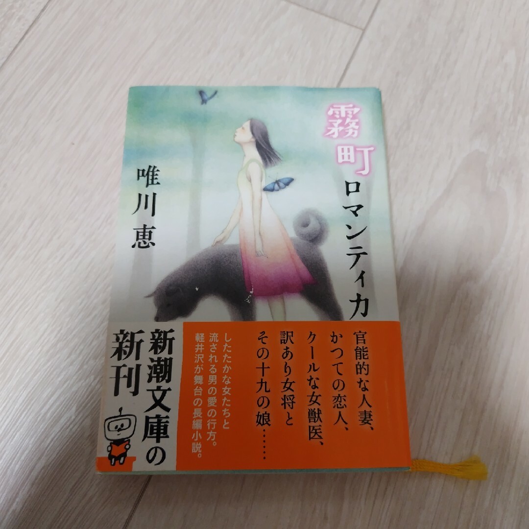 霧町ロマンティカ エンタメ/ホビーの本(文学/小説)の商品写真