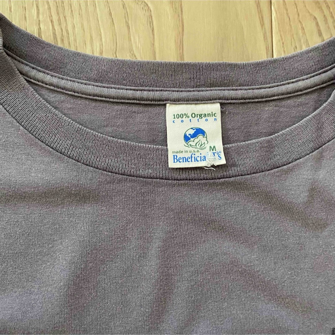 patagonia(パタゴニア)のpatagonia パタゴニア　オーガニックコットンtシャツ　M【送料込】 メンズのトップス(Tシャツ/カットソー(半袖/袖なし))の商品写真