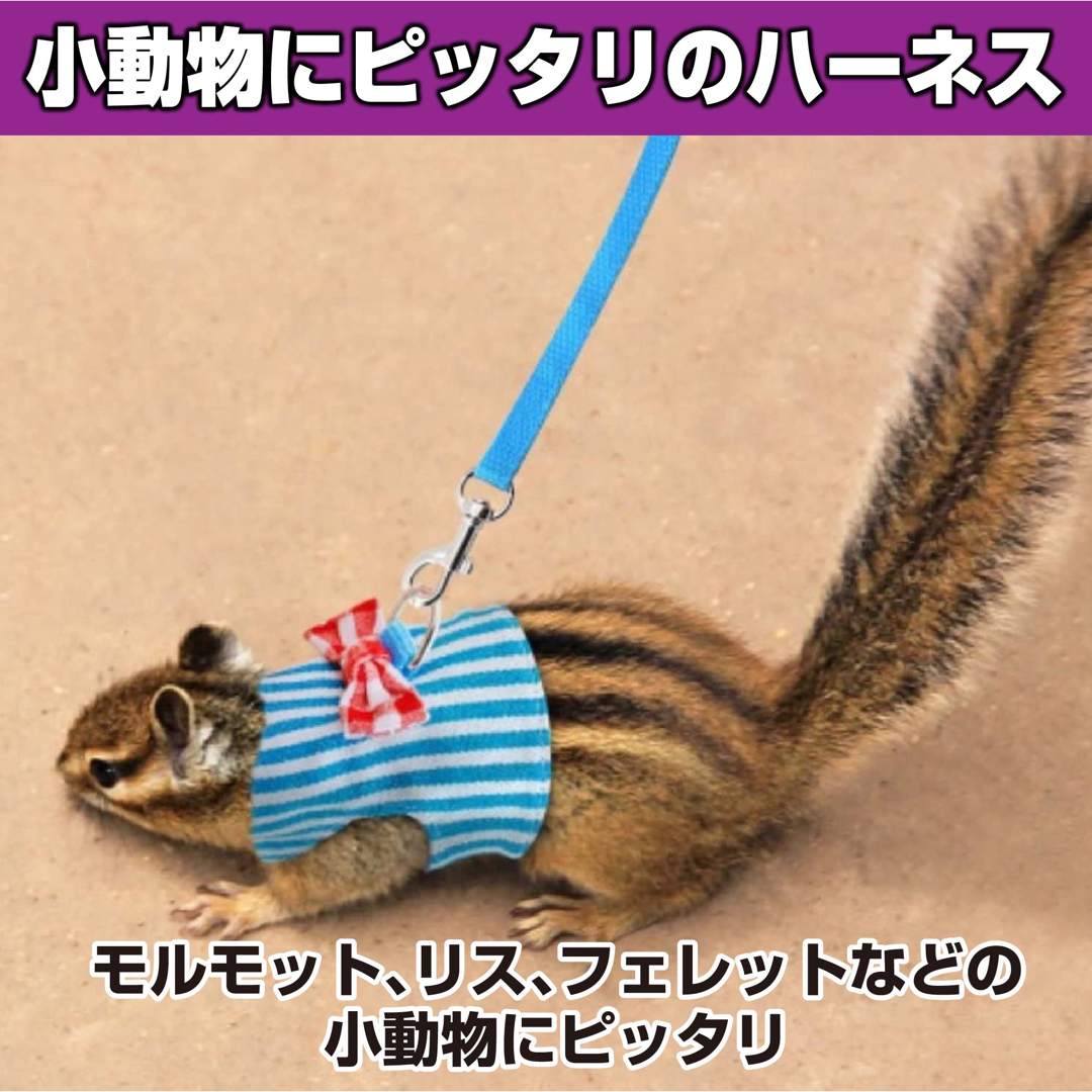 ハムスター　ハーネス リード　ペット 小動物用 4種セット その他のペット用品(小動物)の商品写真