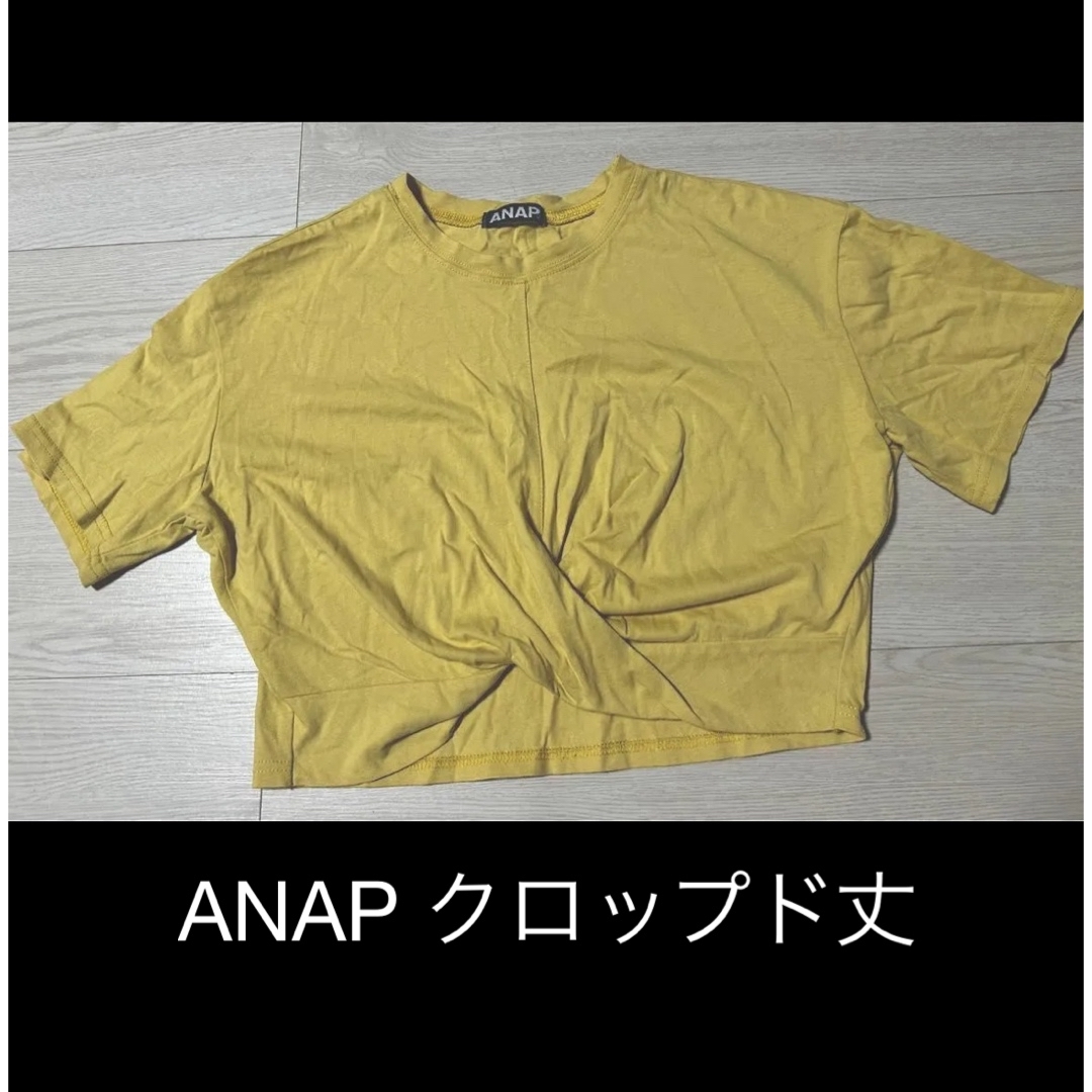 ANAP(アナップ)のANAP クロップド丈  Tシャツ レディースのトップス(Tシャツ(半袖/袖なし))の商品写真