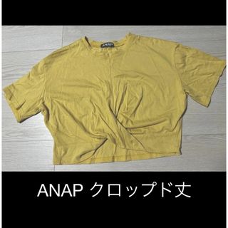 アナップ(ANAP)のANAP クロップド丈  Tシャツ(Tシャツ(半袖/袖なし))