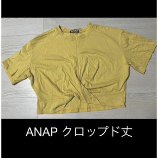 ANAP クロップド丈  Tシャツ