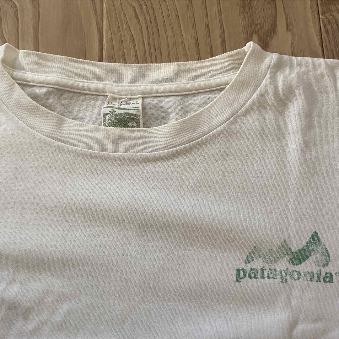 patagonia(パタゴニア)の希少　patagonia パタゴニア　オーガニックコットンtシャツ　M【送料込】 メンズのトップス(Tシャツ/カットソー(半袖/袖なし))の商品写真