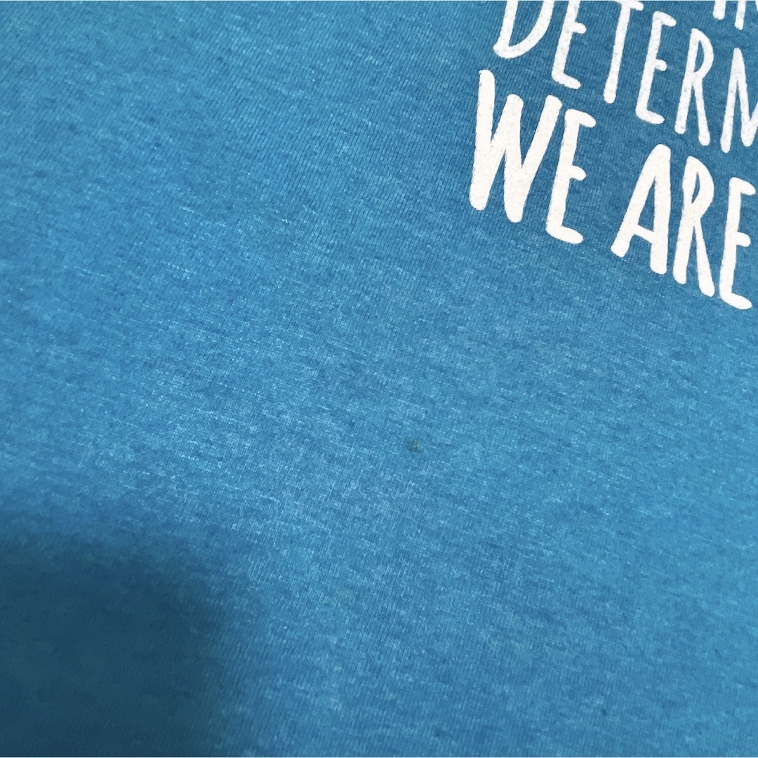 FRUIT OF THE LOOM(フルーツオブザルーム)のFRUIT OF THE LOOM　Tシャツ　L　ライトブルー　水色　プリント メンズのトップス(Tシャツ/カットソー(半袖/袖なし))の商品写真