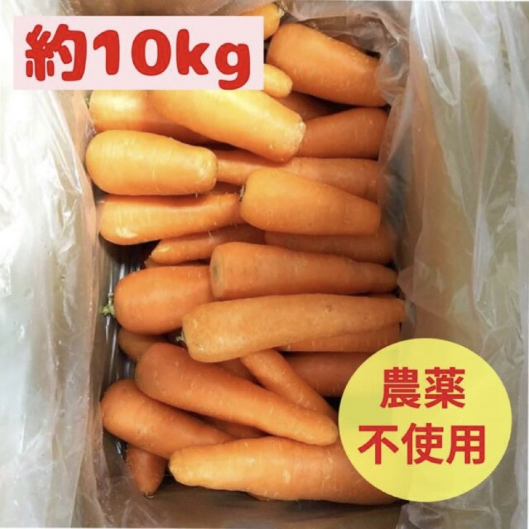 無農薬にんじん 10kg有機 オーガニック 【訳あり】ジュースにおすすめ 食品/飲料/酒の食品(野菜)の商品写真