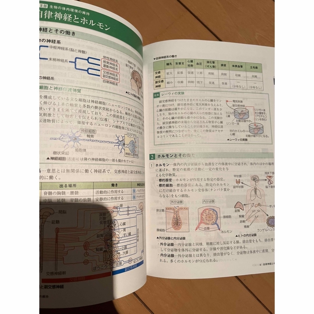 センサー   生物基礎   改訂版   啓林館  解答付き エンタメ/ホビーの本(語学/参考書)の商品写真