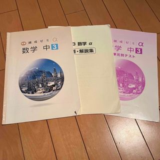 冬期 練成ゼミa 数学 中3 解答・解説集 単元別テスト 付き(語学/参考書)