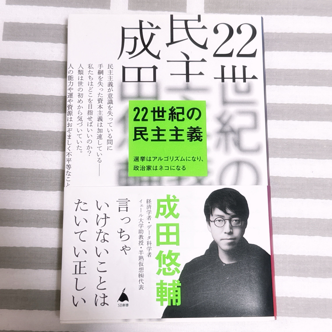 ２２世紀の民主主義 エンタメ/ホビーの本(その他)の商品写真