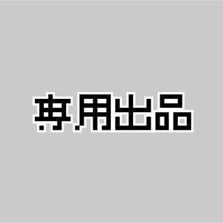 【みぃ ~ちゃん様専用】オプションセット(その他)