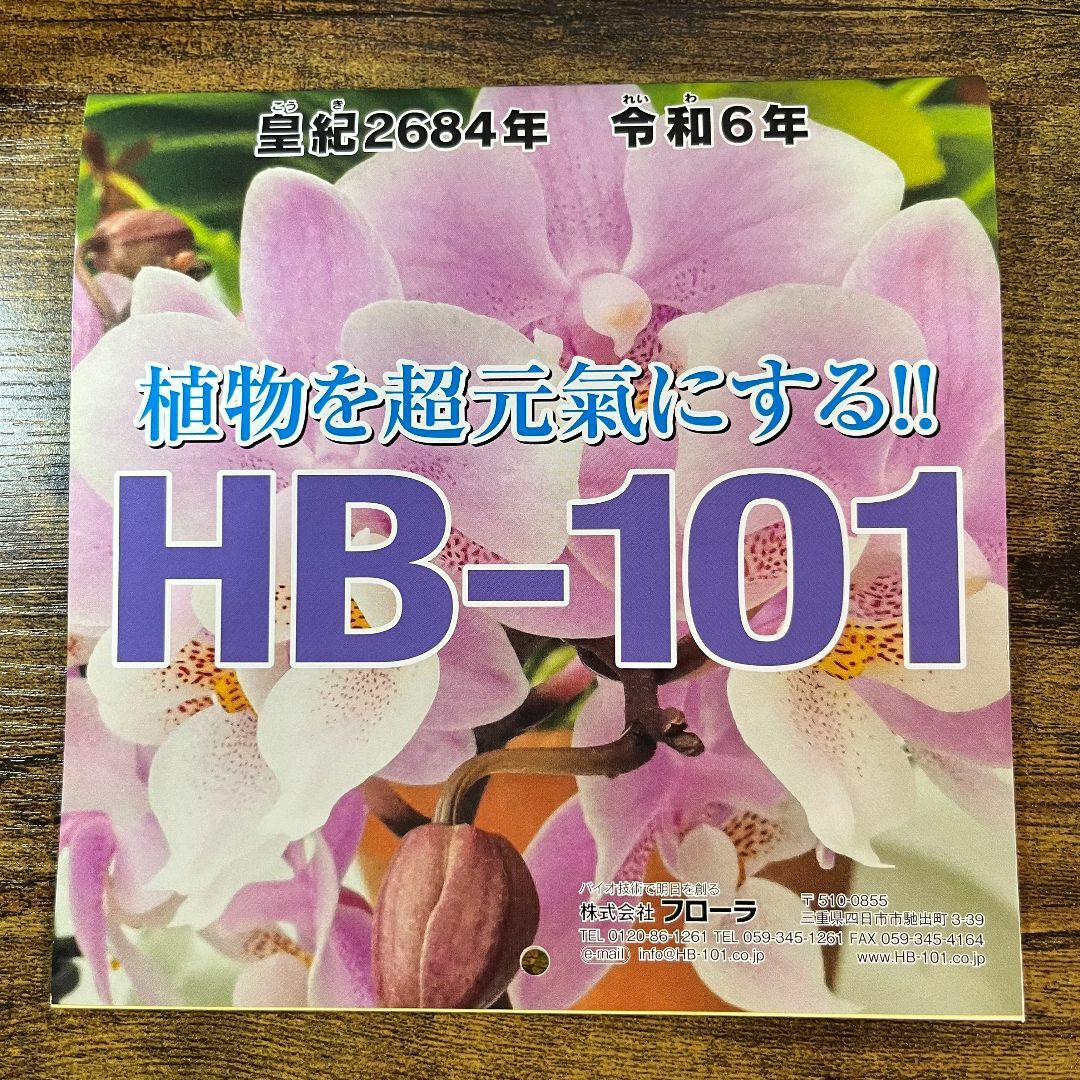 HB-101 令和６年カレンダー 蘭 ラン インテリア/住まい/日用品の文房具(カレンダー/スケジュール)の商品写真