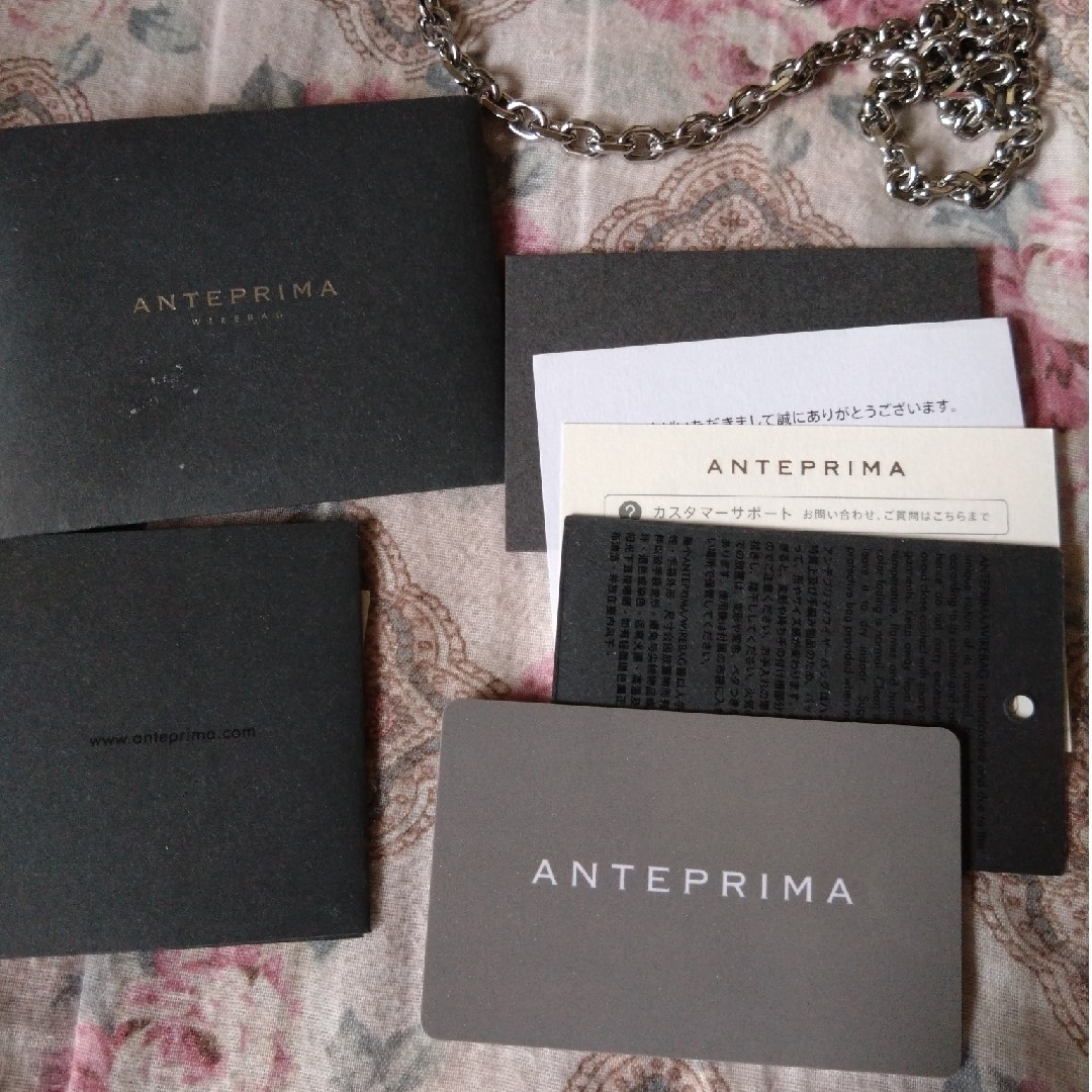 ANTEPRIMA(アンテプリマ)の値下げ中！ANTEPRIMA　アンテプリマ　ワイヤーバッグ　ミニアトゥーラ レディースのバッグ(ショルダーバッグ)の商品写真