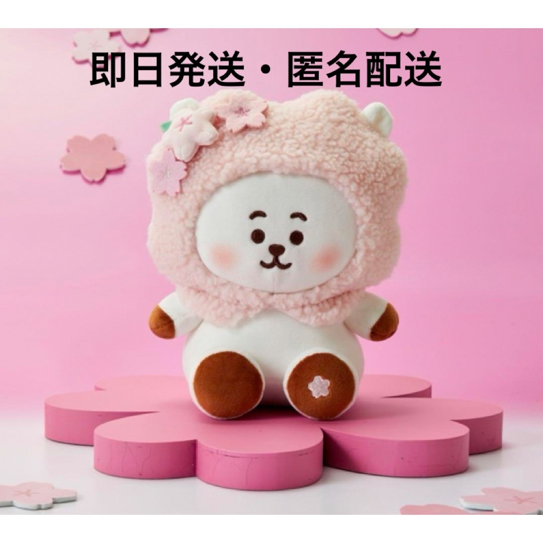 新品未開封　BTS BT21 SPRING DAYS ボムナル ぬいぐるみ RJ エンタメ/ホビーのタレントグッズ(アイドルグッズ)の商品写真