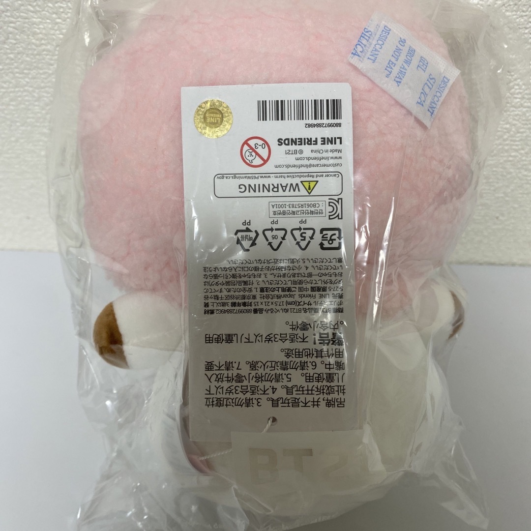 新品未開封　BTS BT21 SPRING DAYS ボムナル ぬいぐるみ RJ エンタメ/ホビーのタレントグッズ(アイドルグッズ)の商品写真