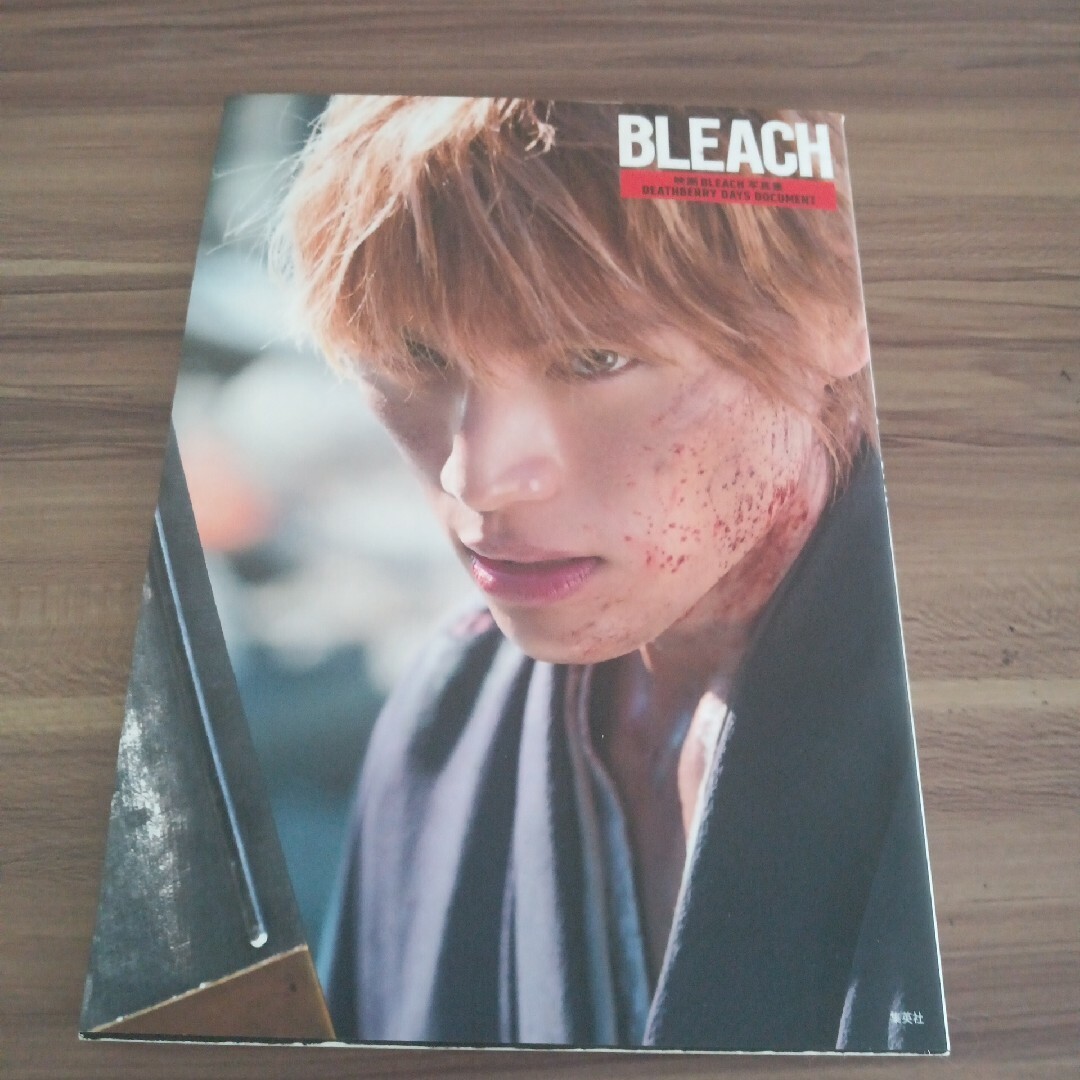 映画 BLEACH 写真集 DEATHBERRY DAYS DOCUMENT エンタメ/ホビーの本(その他)の商品写真