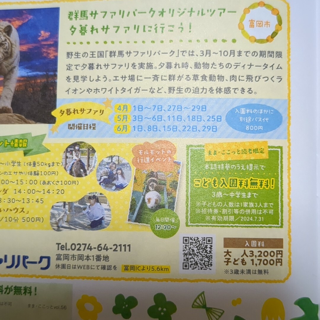 群馬サファリパーク　動物園　めんたいパーク　かねふく　入場料無料　サファリ チケットの施設利用券(動物園)の商品写真