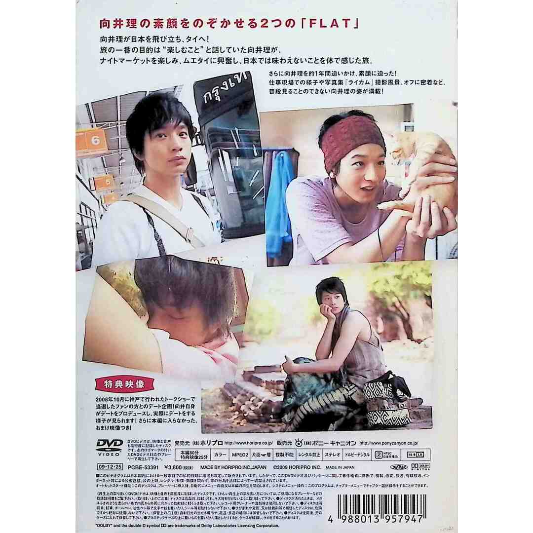 向井理 FLAT [DVD] エンタメ/ホビーのDVD/ブルーレイ(お笑い/バラエティ)の商品写真