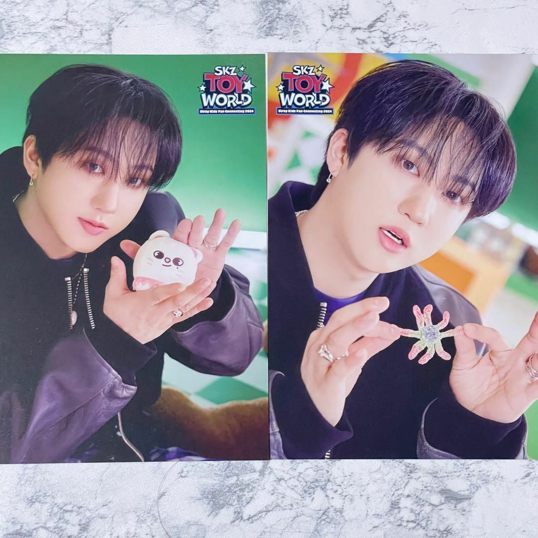 Stray Kids SKZ TOY WORLD ペンミ ラントレ チャンビン① エンタメ/ホビーのタレントグッズ(アイドルグッズ)の商品写真