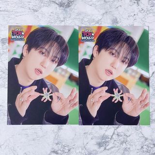 Stray Kids SKZ TOY WORLD ペンミ ラントレ チャンビン②(アイドルグッズ)