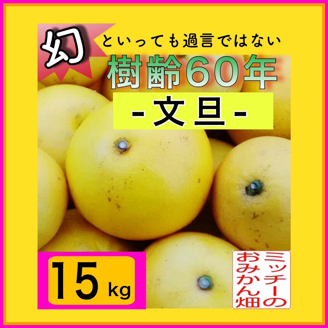 ぶんたん土佐文旦フルーツ果物くだもの果実みかん柑橘《文旦／えひめ産》 食品/飲料/酒の食品(フルーツ)の商品写真