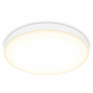 【新着商品】Lepro シーリングライト 小型 ledシーリングライト 電球色 (その他)