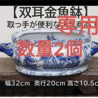 【双耳金魚鉢】メダカ鉢　ビオトープ　金魚鉢　楕円　染付　水草柄　花(アクアリウム)