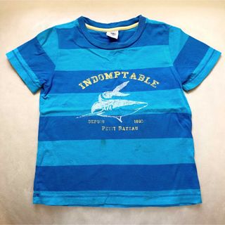 PETIT BATEAU - プチバトー☆5ans108cm☆サメにマリンブルーのビックボーダーTシャツ