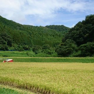 令和5年度  山口県産  コシヒカリ  新米  15㎏(米/穀物)