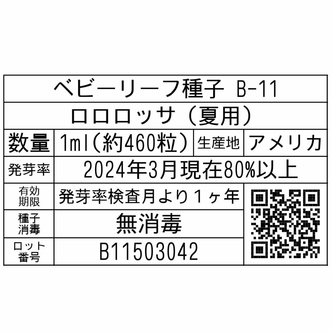 ベビーリーフ種子 B-11 ロロロッサ（夏用） 1ml 約460粒 x 2袋 食品/飲料/酒の食品(野菜)の商品写真