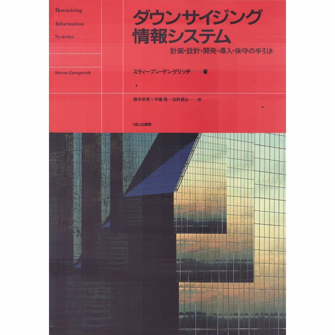 ダウンサイジング情報システム エンタメ/ホビーの本(コンピュータ/IT)の商品写真