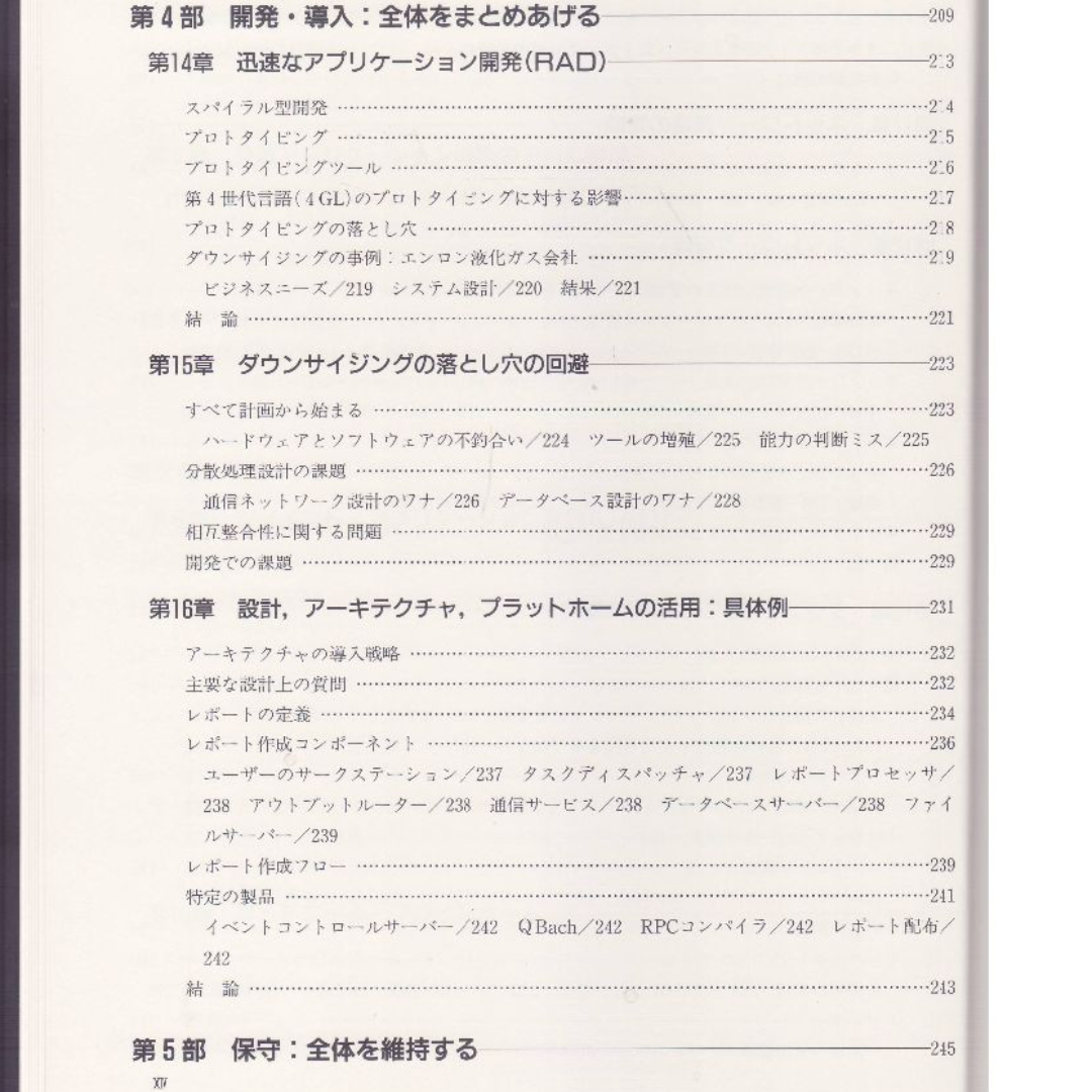 ダウンサイジング情報システム エンタメ/ホビーの本(コンピュータ/IT)の商品写真