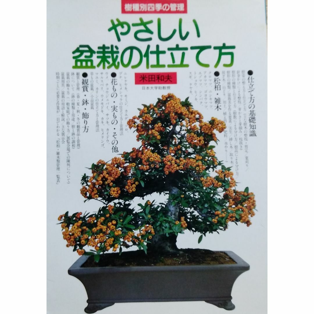 やさしい盆栽の仕立て方―樹種別四季の管理 エンタメ/ホビーの本(趣味/スポーツ/実用)の商品写真