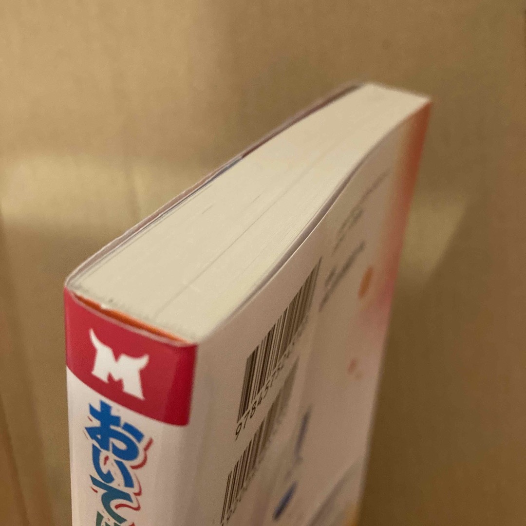 おいてけぼりの錬金術師 エンタメ/ホビーの本(文学/小説)の商品写真