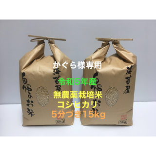 かぐら様専用 無農薬コシヒカリ5分づき15kg(5kg×3)令和5年産(米/穀物)