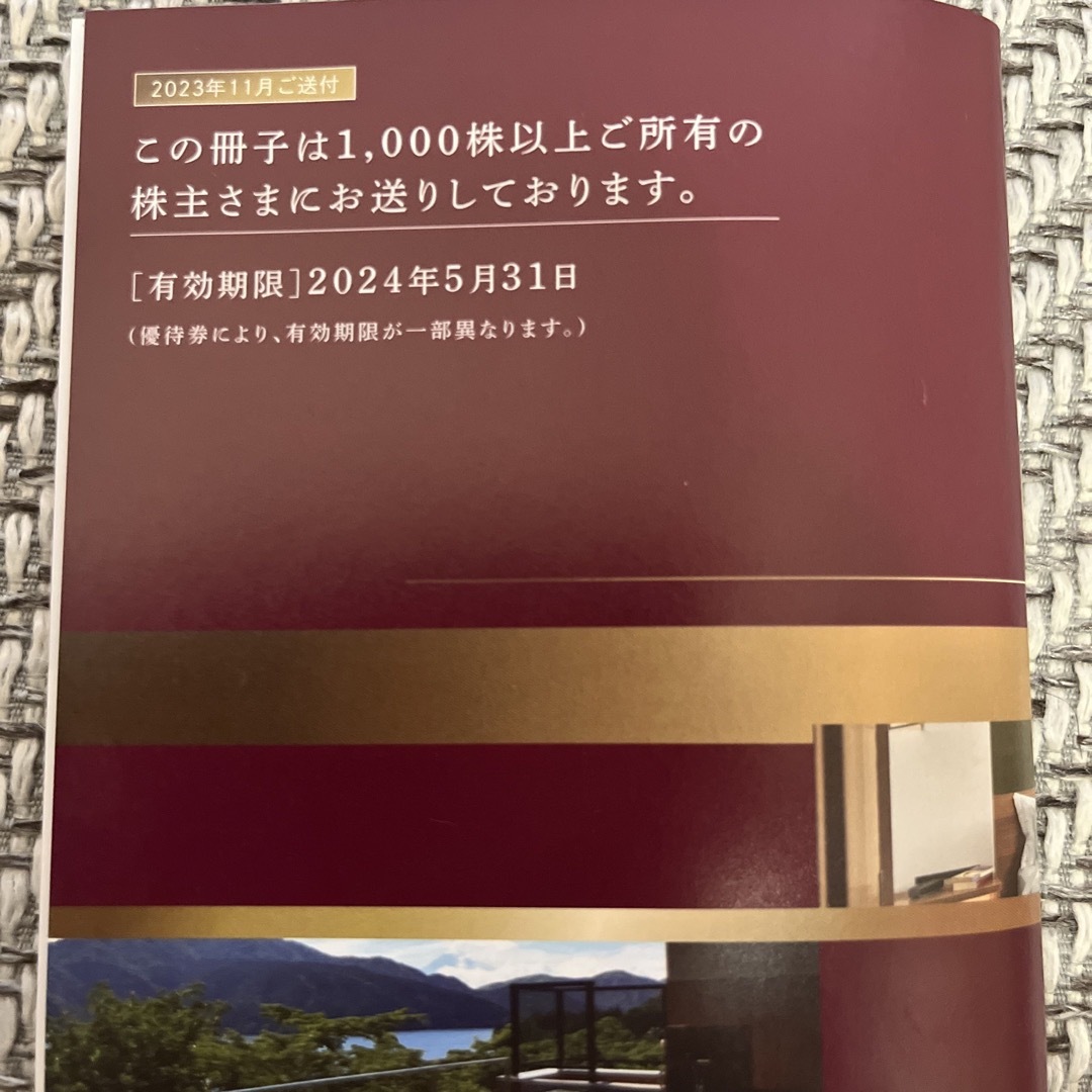 西武HD 株主優待（1000株）優待券冊子1冊　期限2024/5/31 チケットの優待券/割引券(その他)の商品写真