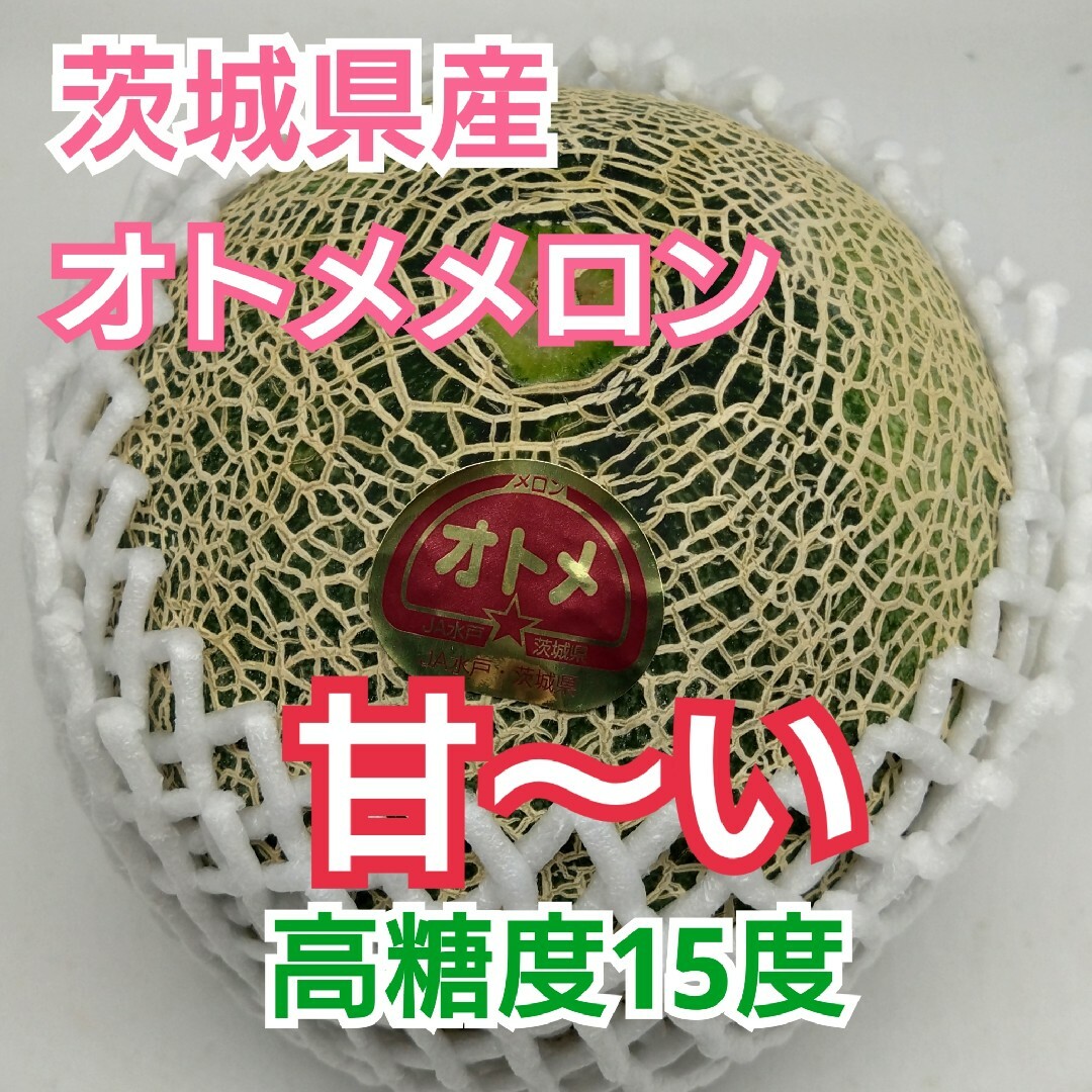 茨城県産【オトメメロン】高糖度15度  甘い2玉 食品/飲料/酒の食品(フルーツ)の商品写真