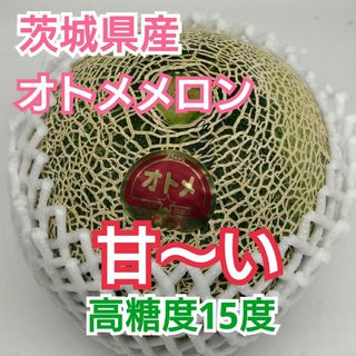 茨城県産【オトメメロン】高糖度15度  甘い(フルーツ)
