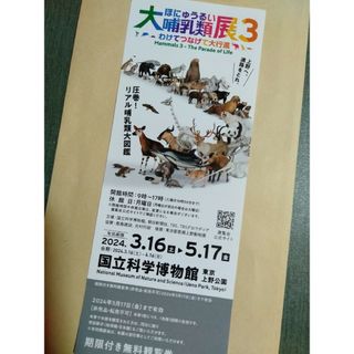 大哺乳類展3　チケット 1枚(美術館/博物館)