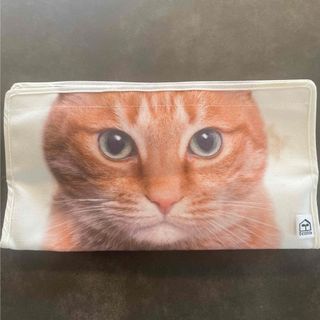 茶トラ　猫　テイッシュケース(ティッシュボックス)