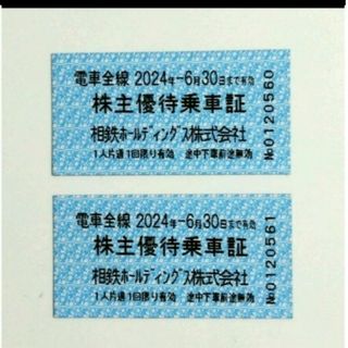 相鉄ホールディングス　株主優待乗車証(鉄道乗車券)