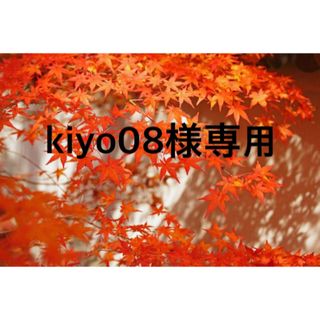 kiyo08様専用です(その他)