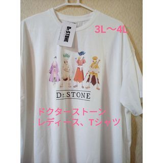 Dr、STONE、ドクターストーン、レディース、Tシャツ．3L～4L(Tシャツ(半袖/袖なし))