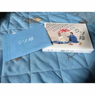 ウソ婚　DVD-BOX DVD(TVドラマ)