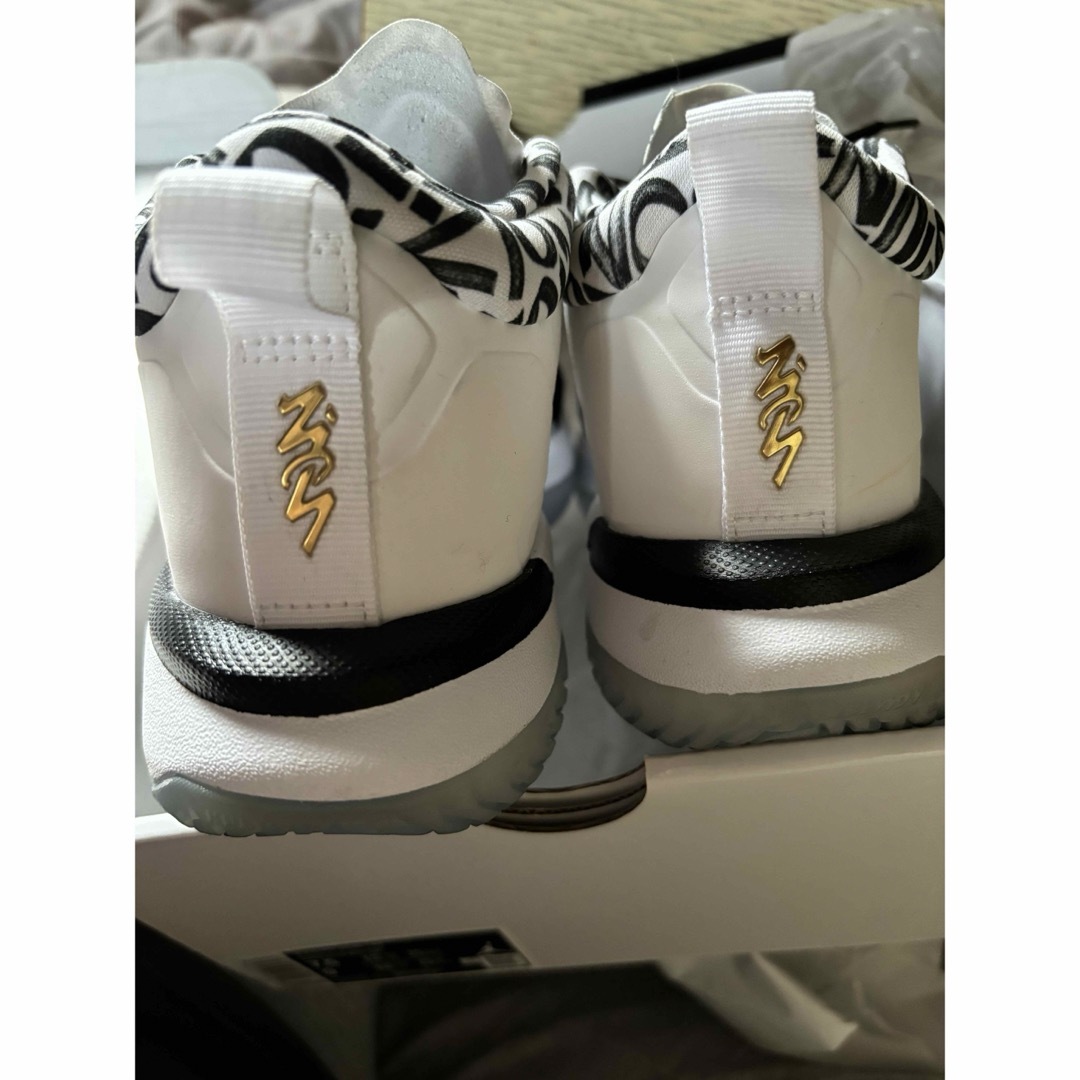 Jordan Brand（NIKE）(ジョーダン)のJORDAN ZION 1 PF メンズの靴/シューズ(スニーカー)の商品写真